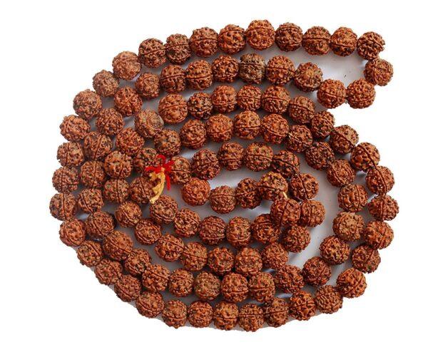 Beingwomen 5- Mukhi Rudraksha Mala