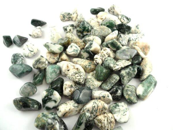 Tree Agate Tumble