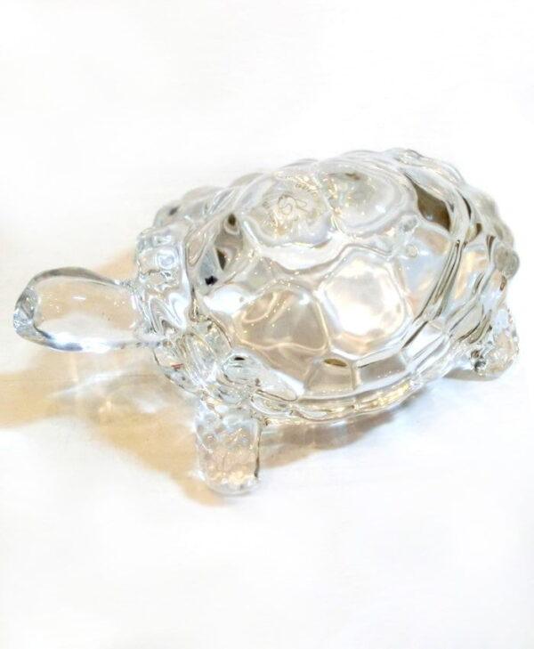 Crystal Tortoise