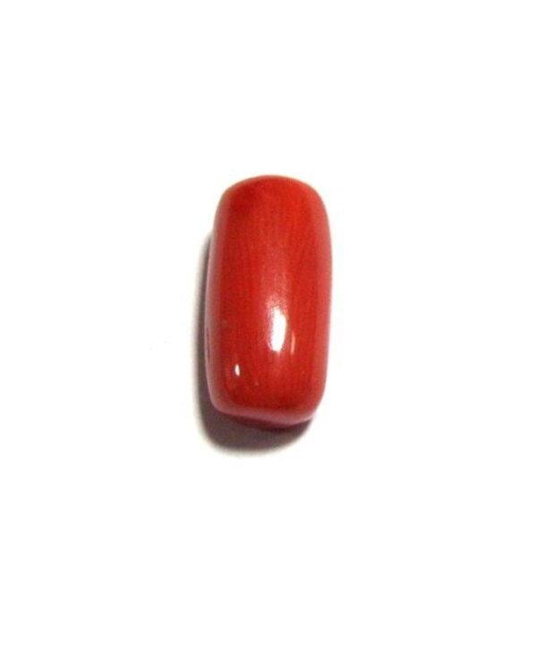 Red Coral Cylindrical - 5.25 Carat (RC-02)