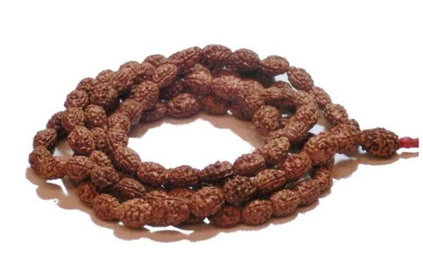 3 Mukhi Rudraksha Rosary / Mala - 10 mm (MARU-007)